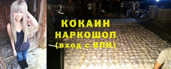 дживик Печоры